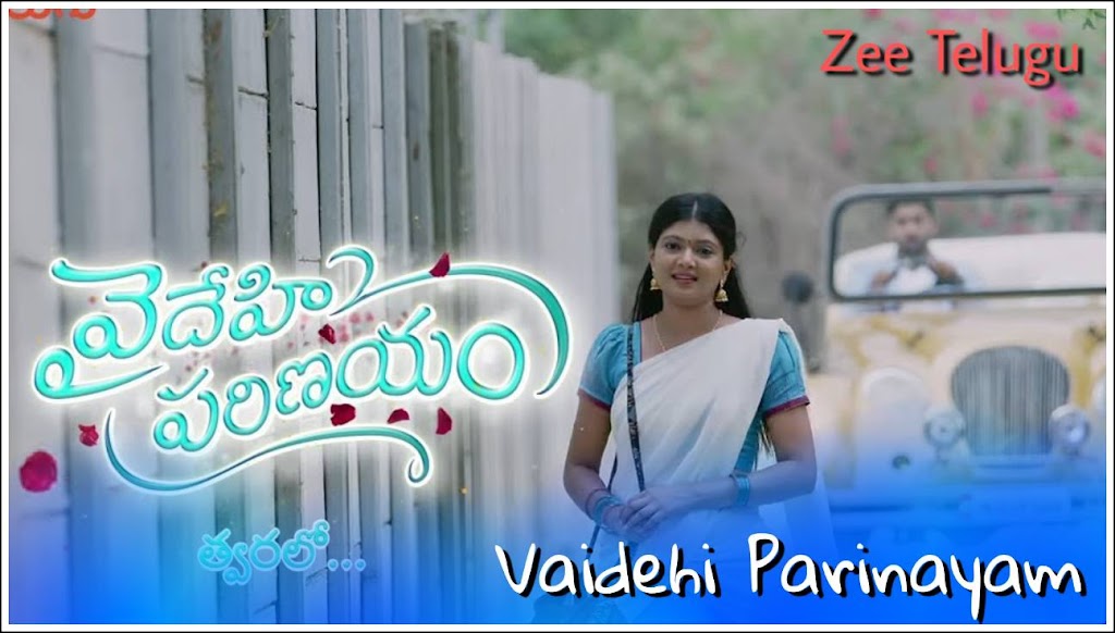 Vaidehi Parinayam Serial (Zee Telugu) Cast, Actor, Actress, Real Names